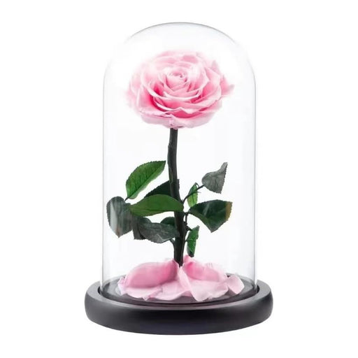 Eternal Pink Rose in a Glass Dome | Small Rose