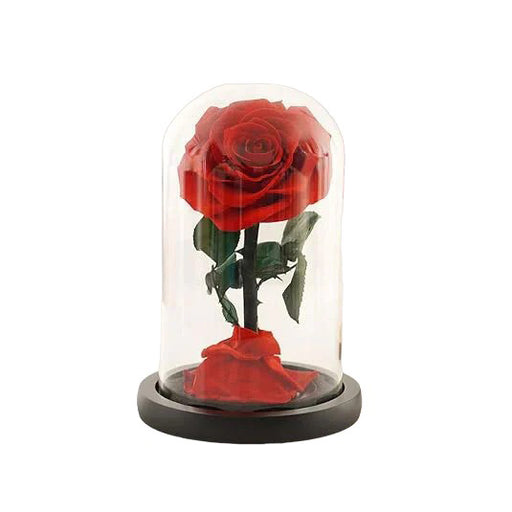 Eternal Red Rose in a Glass Dome | Small Rose