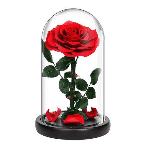 Elegant Red Forever Rose in a Glass Dome