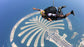Ultimate Tandem Skydiving Adventure Over The Palm (Photos and Videos included)