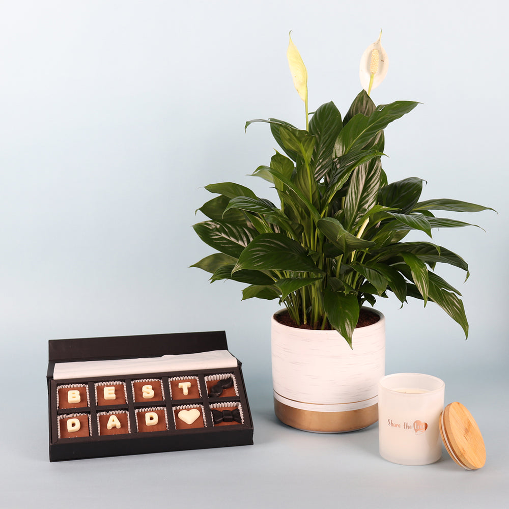 Blissful Aroma Hamper