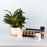 Dad's Relaxation Retreat Hamper