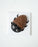 Edible Roach Anyone