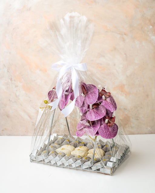 Lilac Orchid Gift Arrangement