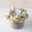 Classic Stud Earrings Hampers