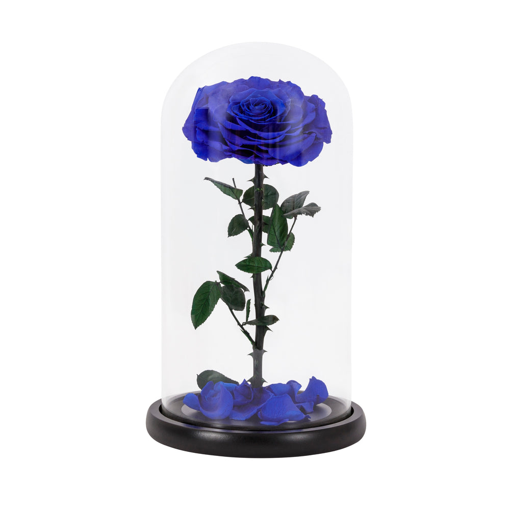Eternal Blue Rose in a Glass Dome