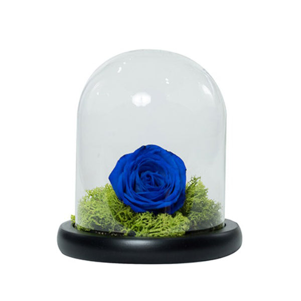 Elegant Blue Forever Rose in a Glass Dome