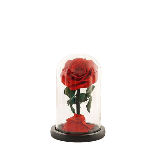 Eternal Red Rose in a Glass Dome | Small Rose