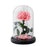 Eternal Pink Rose in a Glass Dome | Small Rose