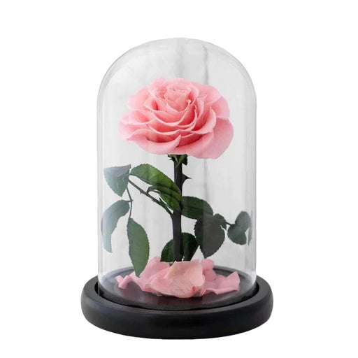 Eternal Pink Rose in a Glass Dome | Small Rose