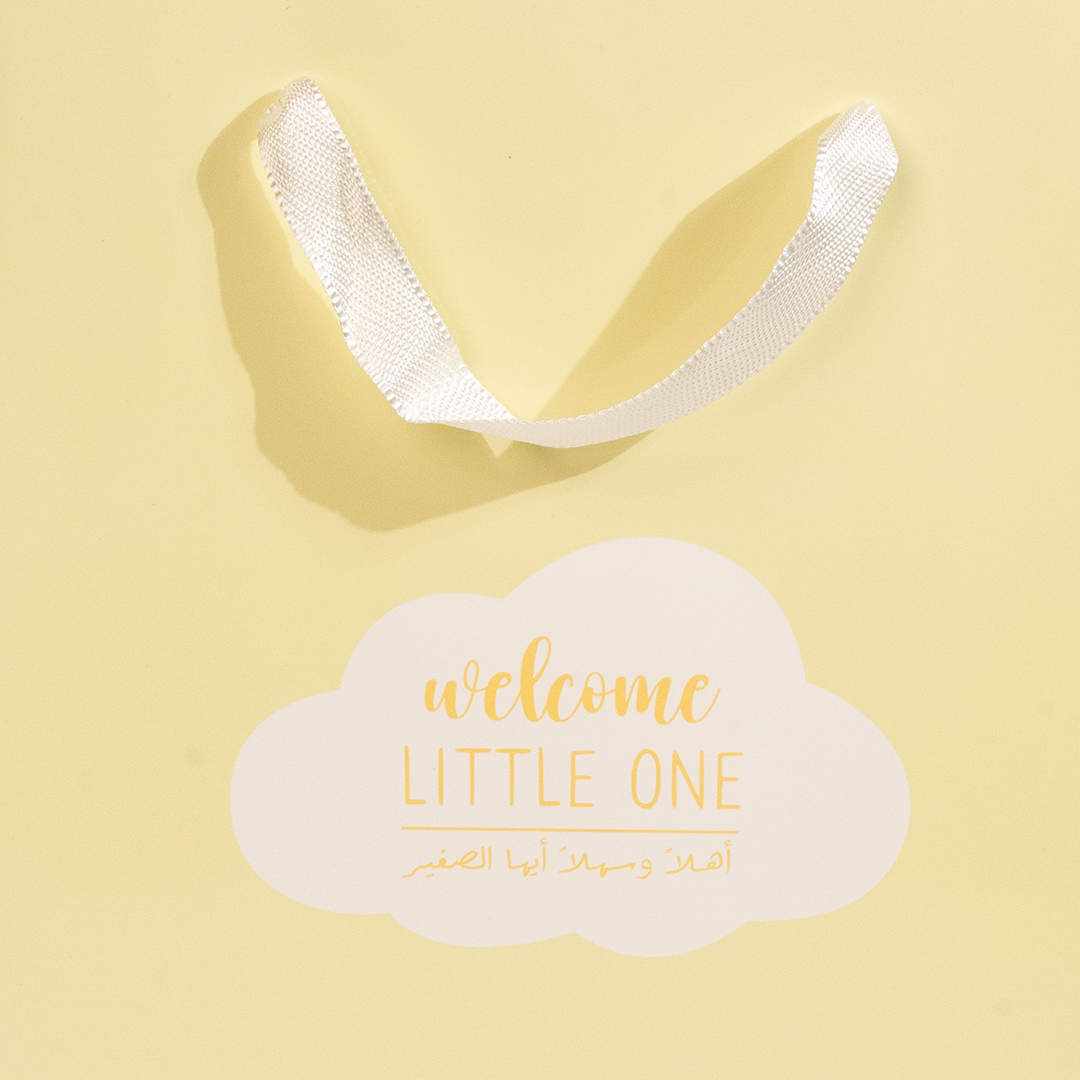 Welcome Little One, Large Gift Bag