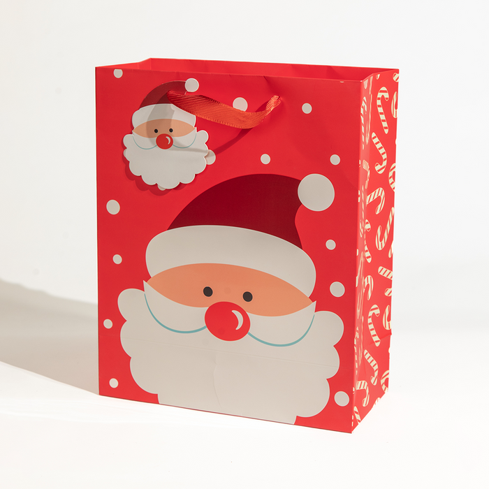 Happy Santa, Christmas Gift Bag, Large