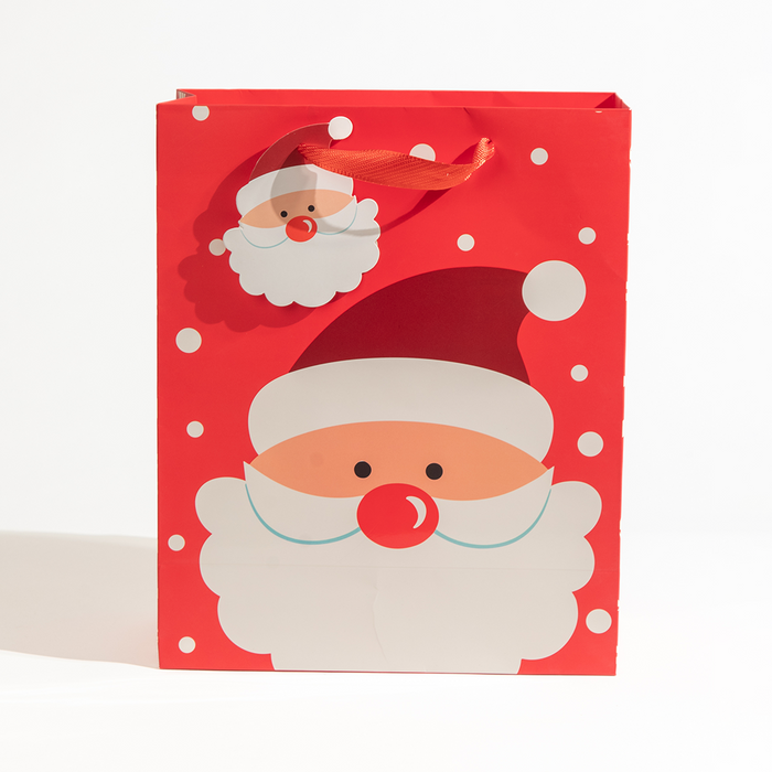 Happy Santa, Christmas Gift Bag, Large