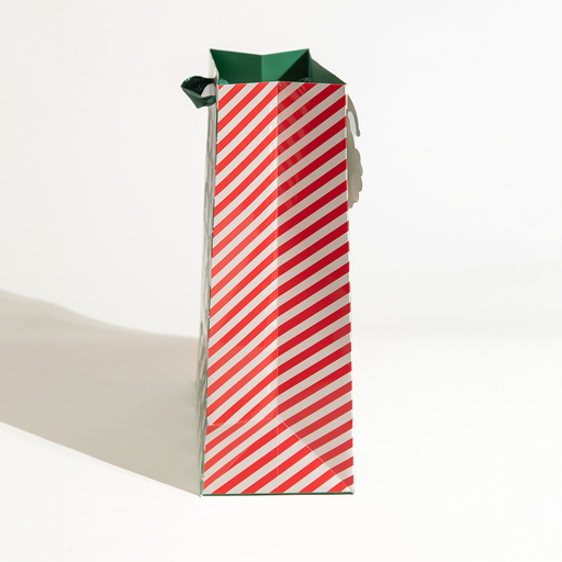 Santa, Christmas Gift Bag, Green, Large