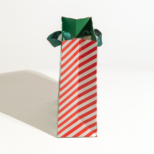 Santa, Christmas Gift Bag, Green, Medium