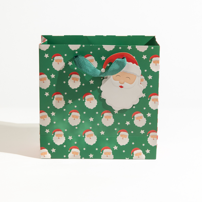Santa, Christmas Gift Bag, Green, Medium