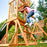 Hawk Tower Swing Set