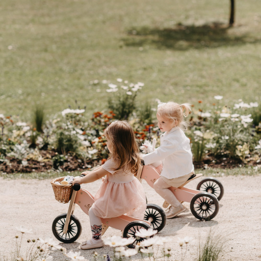 2-in-1 Tiny Tot PLUS Tricycle & Balance Bike - Rose