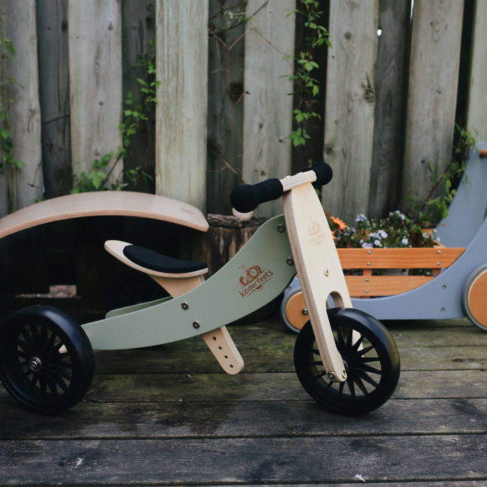 2-in-1 Tiny Tot PLUS Tricycle & Balance Bike - Silver Sage