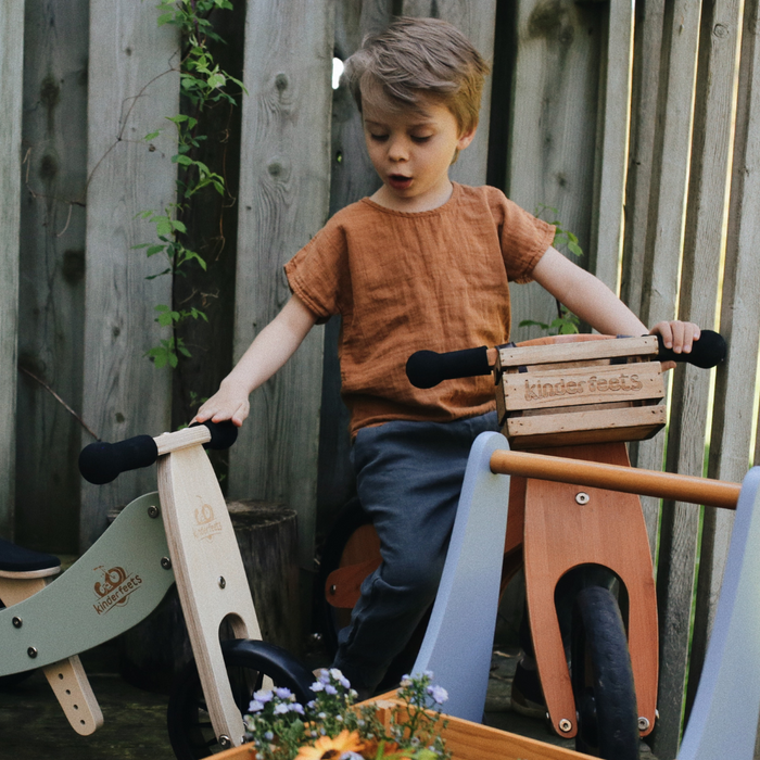 2-in-1 Tiny Tot PLUS Tricycle & Balance Bike - Silver Sage