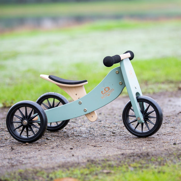 2-in-1 Tiny Tot Tricycle & Balance Bike - Sage
