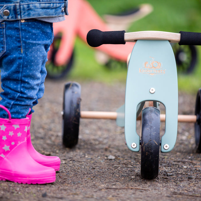 2-in-1 Tiny Tot Tricycle & Balance Bike - Sage