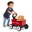 Push & Play Walker Wagon With Teddy Bear