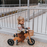 2-in-1 Tiny Tot Tricycle & Balance Bike - Bamboo