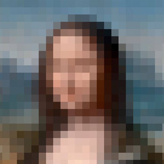 Poster Art - De Vinci