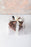 Easter Eggs Chocolates delivery UAE