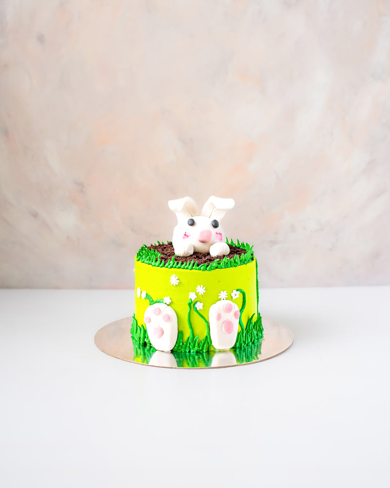 Bunny Cake