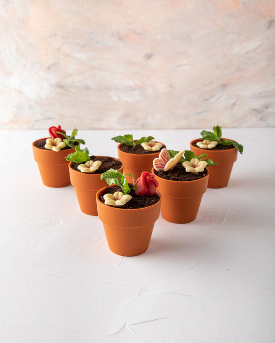 Choc Flower Pot